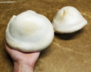 香烤白灵菇