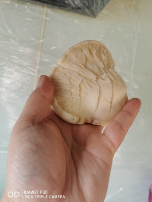 鲍汁白灵菇