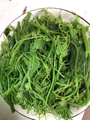龙须菜