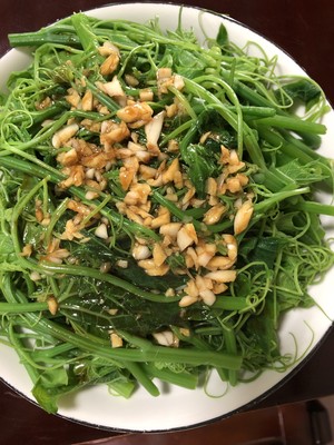 龙须菜