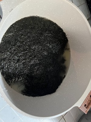 蚝豉花胶发菜猪手