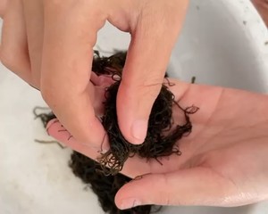发菜丸