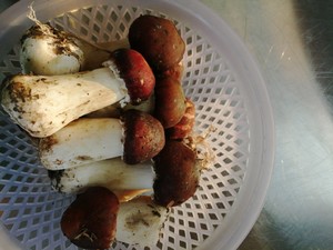 姬松茸的正确打开方式