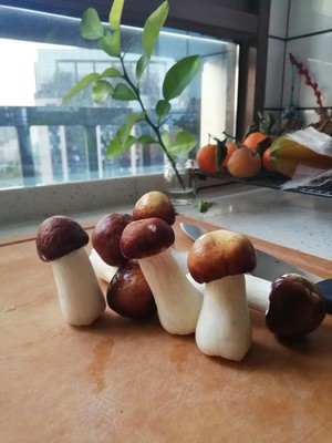 姬松茸的正确打开方式