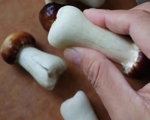 姬松茸的正确打开方式