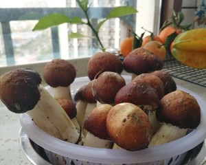 姬松茸的正确打开方式