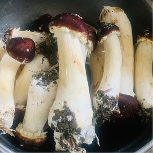 姬松茸的保存