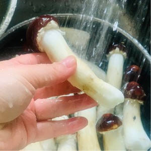 姬松茸的保存