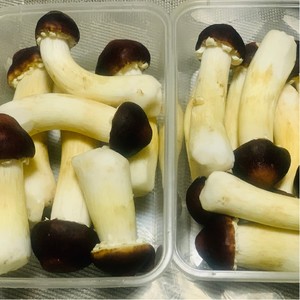 姬松茸的保存
