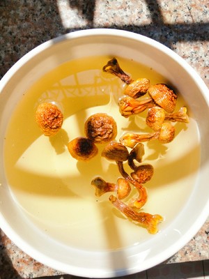 鲜到让你转圈圈的汤品：姬松茸椰汁椰肉乌鸡汤