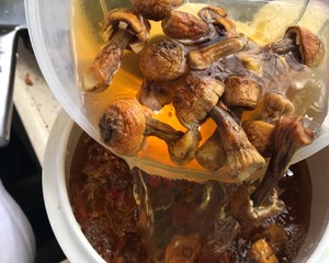强身健体，提高免疫力 【姬松茸虫草花鸡汤】