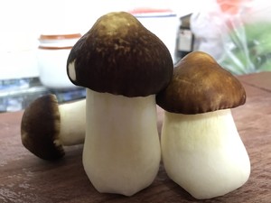 香煎姬松茸