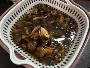 笨鸡炖榛蘑