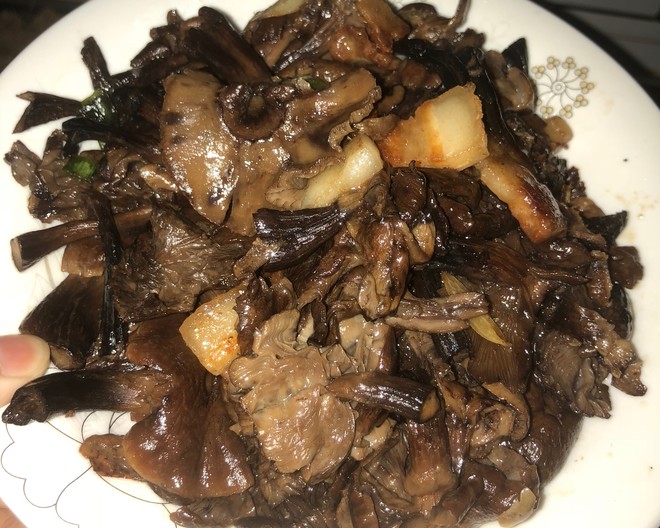 榛蘑简单吃法：爆炒榛蘑