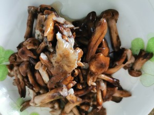 味道极鲜的素炖山榛蘑（小鸡都不配当配角）