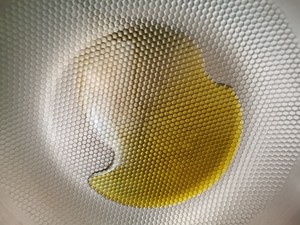 味道极鲜的素炖山榛蘑（小鸡都不配当配角）
