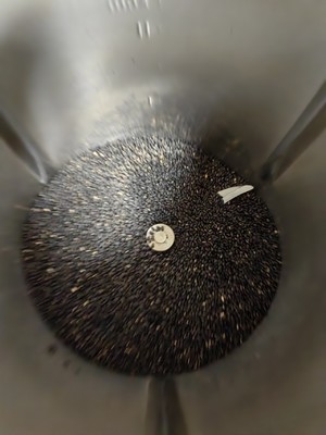 灵芝芝麻丸