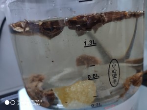 灵芝茶