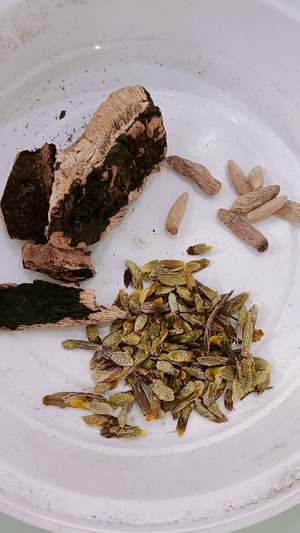 灵芝清肺汤