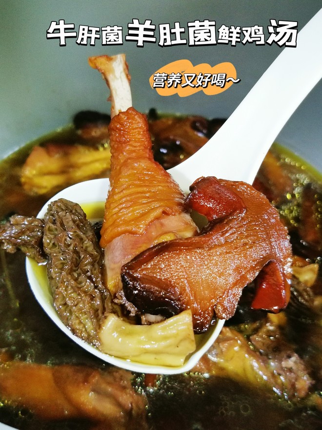牛肝菌羊肚菌鲜鸡汤