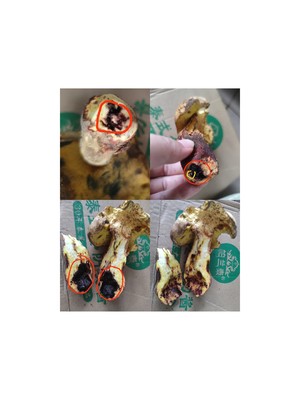 牛肝菌焖饭（含菌子处理）