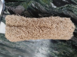 牛肝菌焖饭（含菌子处理）