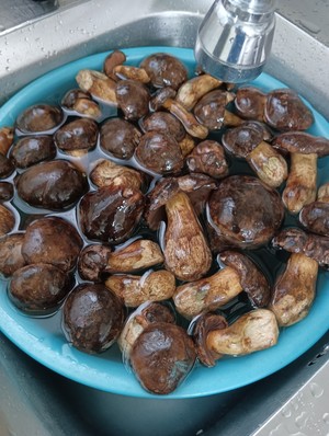 炒黑牛肝菌