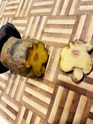 【食菌季】牛肝菌的储存