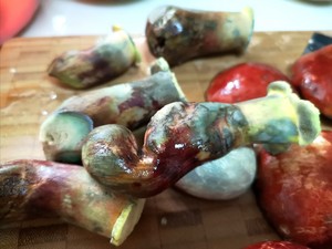 青椒牛肝菌（红见手青）