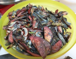 青椒牛肝菌（红见手青）