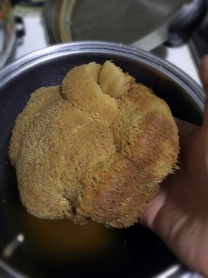 猴头菇排骨养胃汤