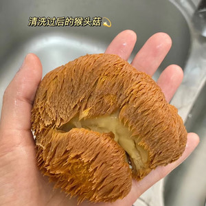 猴头菇怕苦？快来试试这招吧
