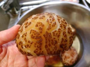 蚝油花菇