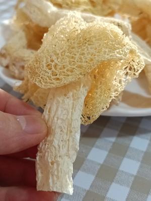 金汤竹荪