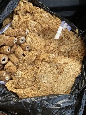 超详细干竹荪泡发教程