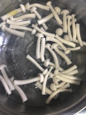 家常小炒‼️海鲜菇炒肉丝?