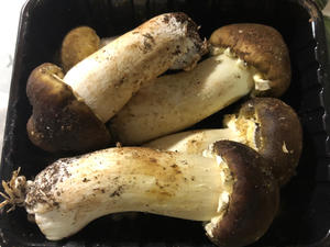 赤松茸葫芦排骨汤