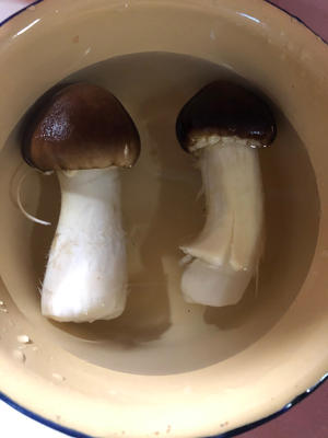赤松茸葫芦排骨汤
