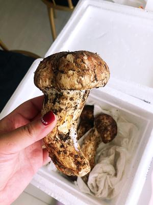 香喷喷的香煎松茸