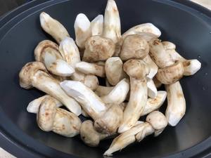 松茸吃法大全
