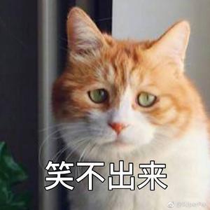 不需要黄油的赤松茸
