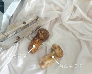 松茸的保存与烹饪