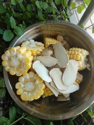 松茸的保存与烹饪