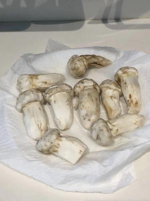 野生松茸炖鸡汤