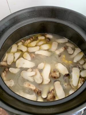 野生松茸炖鸡汤