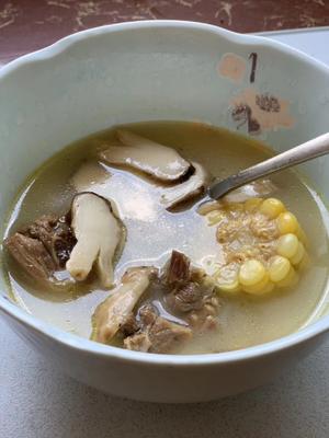 野生松茸炖鸡汤