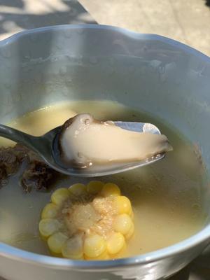 野生松茸炖鸡汤