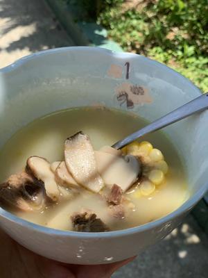 野生松茸炖鸡汤