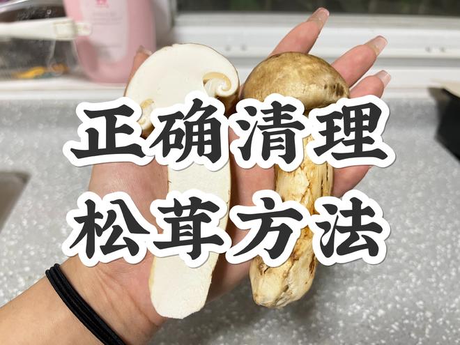 正确清理松茸、保存、食用方法