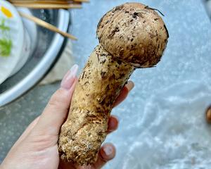 正确清理松茸、保存、食用方法